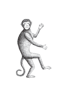 monkey-sections